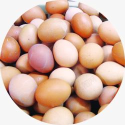 新鲜食物鸡蛋营养素材