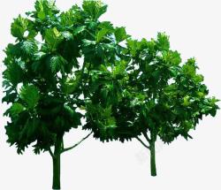 创意绿色植物树木素材