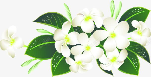 白色清新手绘花朵装饰图案png免抠素材_88icon https://88icon.com 免抠PNG 手绘 树叶 清新 白色 绿叶 花朵 装饰图案