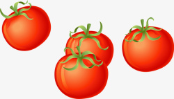 逼真蔬菜西红柿矢量图高清图片