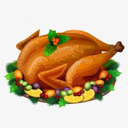 美味的鸡肉素材