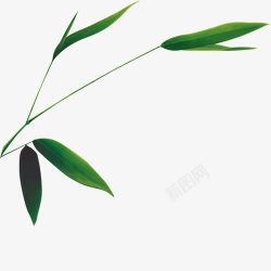 单只竹叶图素材