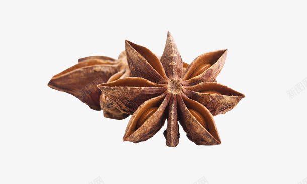 六角食料png免抠素材_88icon https://88icon.com png 素材