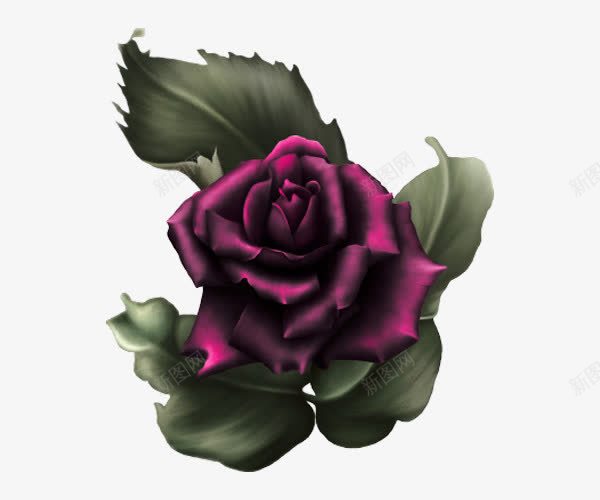 手绘玫瑰花png免抠素材_88icon https://88icon.com 叶子 手绘 玫瑰 绿色