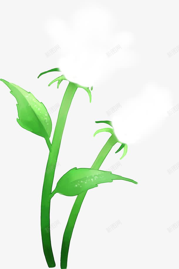 夏日手绘插画风景植物白色花朵png免抠素材_88icon https://88icon.com 夏日 插画 植物 白色 花朵 风景