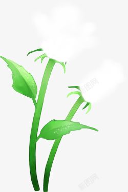 夏日手绘插画风景植物白色花朵素材