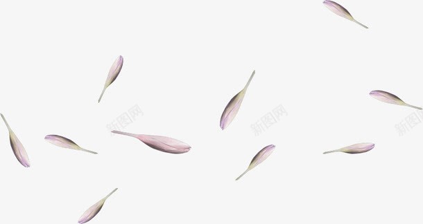紫色花瓣装饰品png免抠素材_88icon https://88icon.com 手绘 紫色 花瓣 装饰品