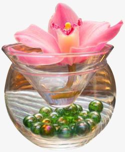 透明玻璃杯中的弹珠与红色花素材