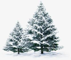 冬季景观雪树素材