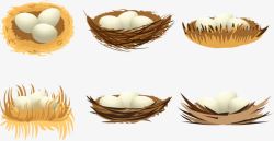 6款鸟巢中的鸟蛋鸭蛋素材