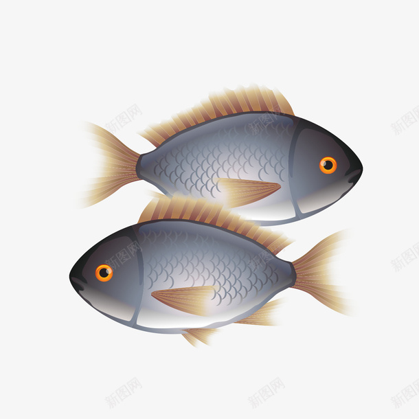 两条卡通鱼png免抠素材_88icon https://88icon.com 卡通 卡通鱼 可爱 鱼 鱼儿