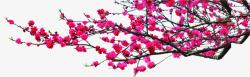 粉色花朵中国风海报素材
