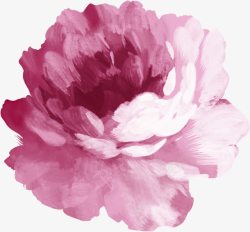 手绘粉紫色玫瑰装饰素材