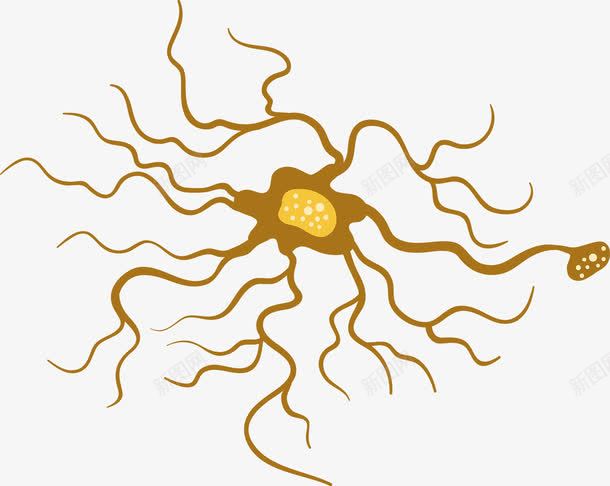 简约手绘医学细胞png免抠素材_88icon https://88icon.com 人体 医学细胞 生物 研究 细胞 黄色