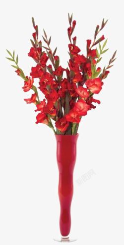 红色花束插花软装装饰素材