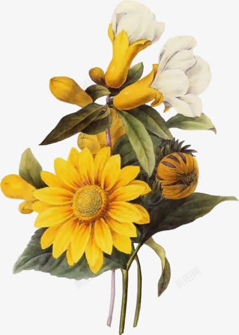 创意复古风格黄色的向日葵png免抠素材_88icon https://88icon.com 创意 向日葵 复古 风格 黄色