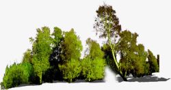 创意环境渲染效果树木树林素材