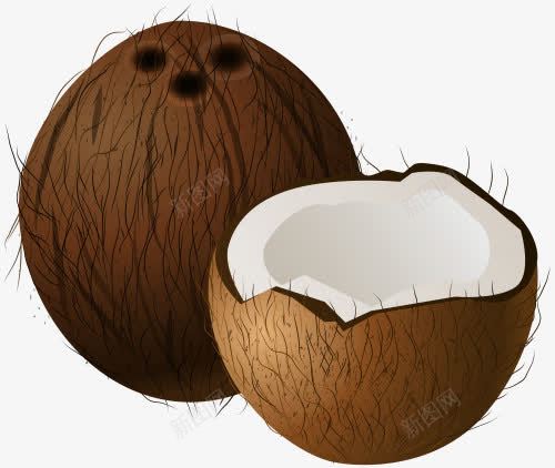 切开的椰子果png免抠素材_88icon https://88icon.com 一半 切开的 椰子 椰果 白色