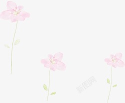 手绘粉色淡彩花卉画报素材
