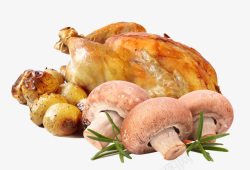 蘑菇和烤鸭素材