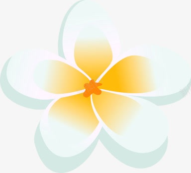 白色可爱唯美花朵植物png免抠素材_88icon https://88icon.com 可爱 植物 白色 花朵