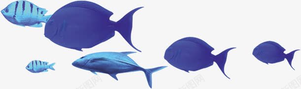 创意合成效果蓝色的小鱼模型png免抠素材_88icon https://88icon.com 创意 合成 效果 模型 蓝色