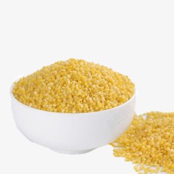 金色小米玉米粒素材