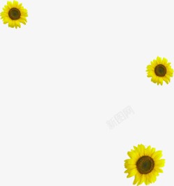 摄影活动海报黄色花朵效果素材