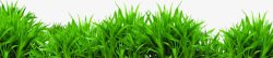 绿化环保草地植物素材