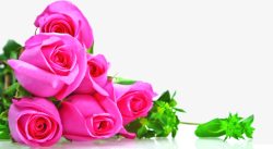 粉色堆放玫瑰花元素素材