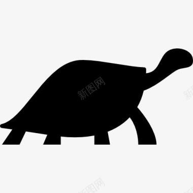 海龟面临图标图标