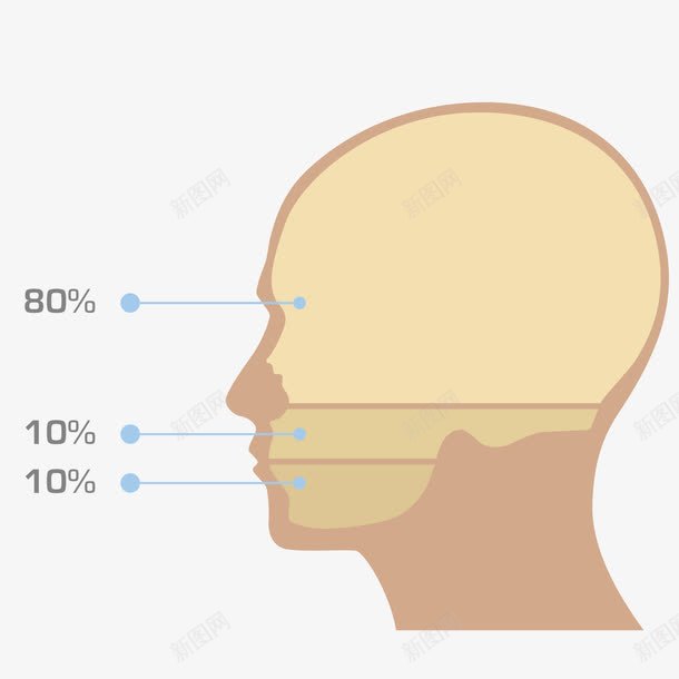 人体头部分析png免抠素材_88icon https://88icon.com 健康 分析 医疗 素材