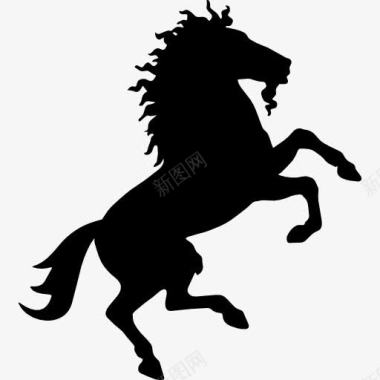 马的野生黑形状对后爪图标图标