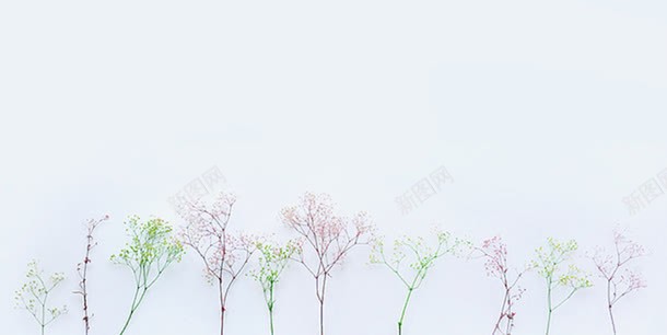 创意树枝背景png免抠素材_88icon https://88icon.com 冷色系 创意 树枝 植物背景