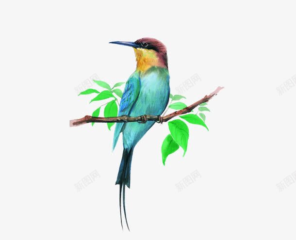 树枝上的鸟png免抠素材_88icon https://88icon.com 卡通 叶子 小鸟 手绘 枝干 棕色 绿色 蓝色