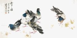 水墨画和平鸽水墨中国画和平鸽高清图片