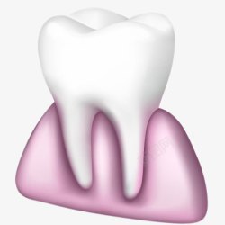 牙齿与牙龈素材