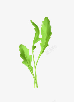 茼蒿菜卡通茼蒿菜高清图片