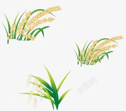 种植水稻素材