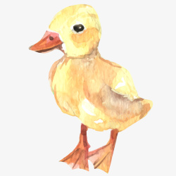 黄色创意小鸭子卡通插画矢量图素材