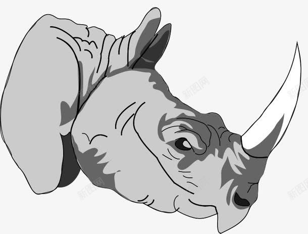 卡通犀牛png免抠素材_88icon https://88icon.com 动物犀牛 哺乳动物 独角犀