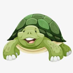 绿色卡通乌龟海龟素材