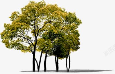 创意环境渲染效果合成png免抠素材_88icon https://88icon.com 创意 合成 效果 渲染 环境