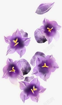 紫色梦幻花朵美景素材