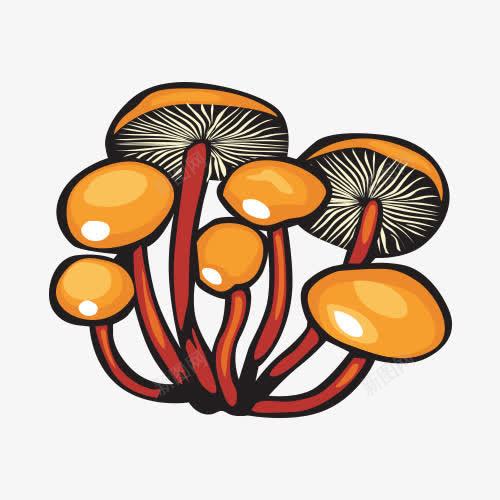 卡通手绘香菇png免抠素材_88icon https://88icon.com 卡通 手绘 菇类 蘑菇 香菇