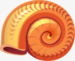 一个海螺世界海洋日美丽橙色海螺高清图片