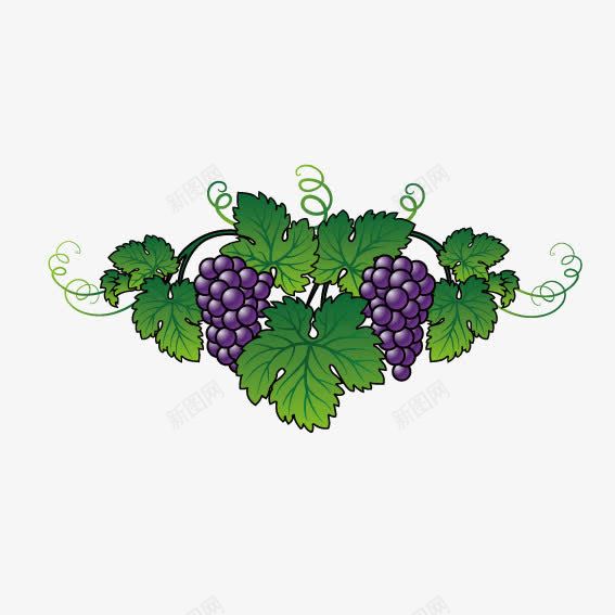 美味提子png免抠素材_88icon https://88icon.com 提子 水果 美味