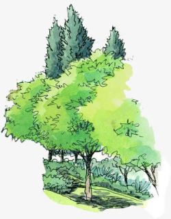 绘画绿化树园林景观素材