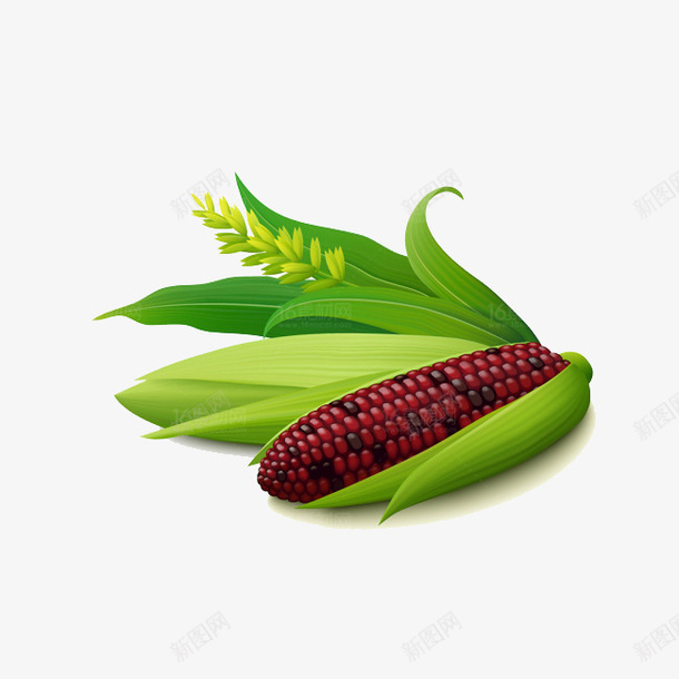 紫色新鲜的玉米png免抠素材_88icon https://88icon.com 卡通 玉米 玉米种类