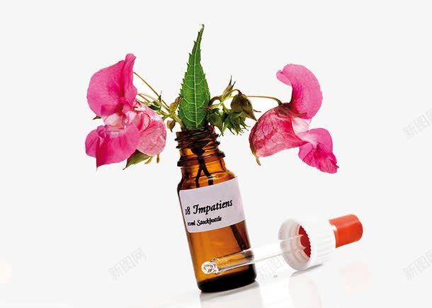 香薰精油psd免抠素材_88icon https://88icon.com 缇庡 鍏荤敓 鐜 鑺辩簿娌